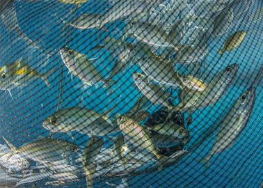 Diepe Oceaanvissen Netto het Maken Machine, de Ronde Netto Machine van de Garenschaduw