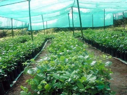 Double Needle Shade Sun Shade Net Machine DRCA Type HDPE Virgin Material Sunshine Groene schaduwnetmachine