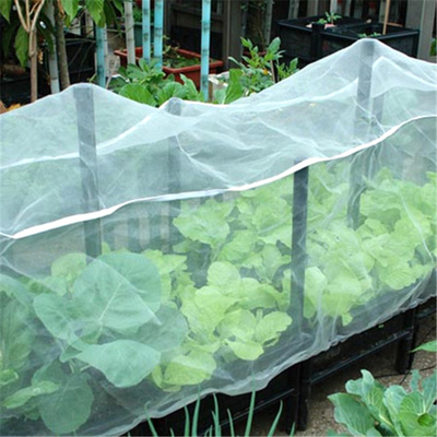 SRCP Raschel warp breimachine voor insectennetten