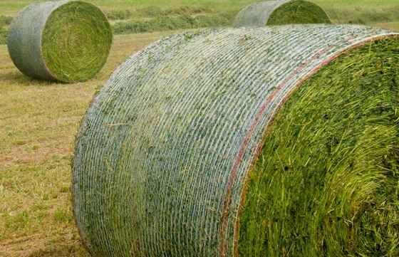 7500W Warpbreimachine voor het maken van hooinetten met een breedte van 260 inch